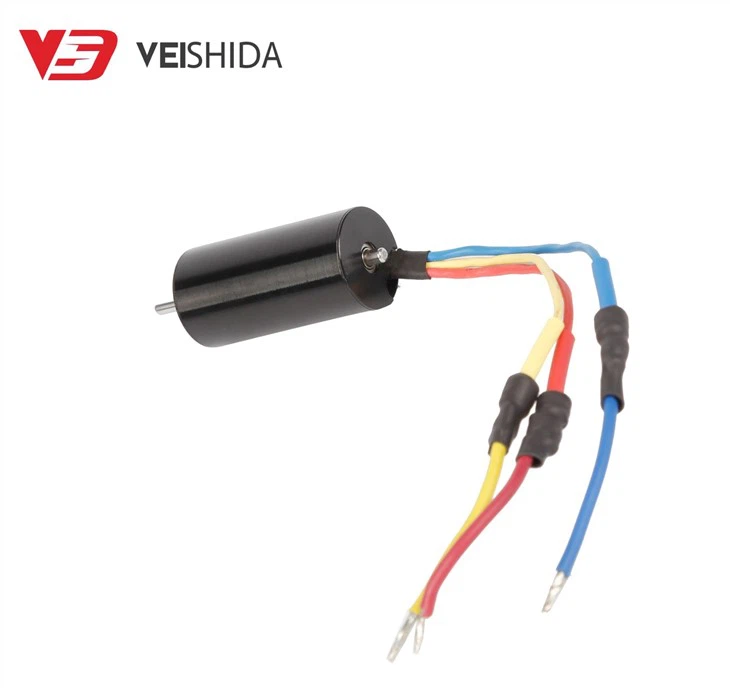 22mm Brushless DC Motor