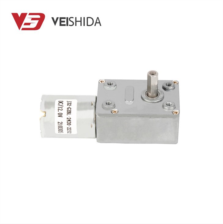 2430 Brushless DC Worm Gear Motor