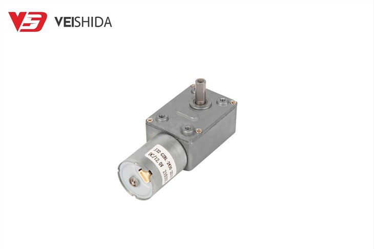 2430 Brushless DC Worm Gear Motor