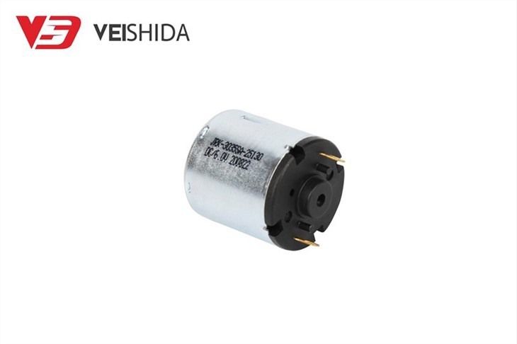 Ball Bearing Carbon Brush Motor