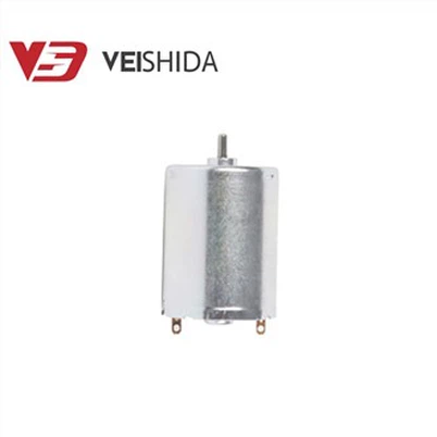 Small Brushed DC Motor