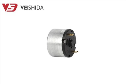 528 Micro Carbon Brush DC Motor