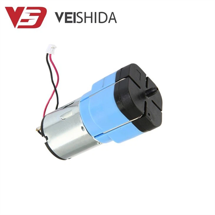 Vacuum Pump For Rechargeable Spray Gun