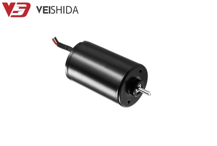 8000 Rpm 12V 24V Small Brushless DC Motor