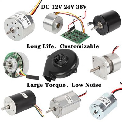 24 Volt Brushless Motor
