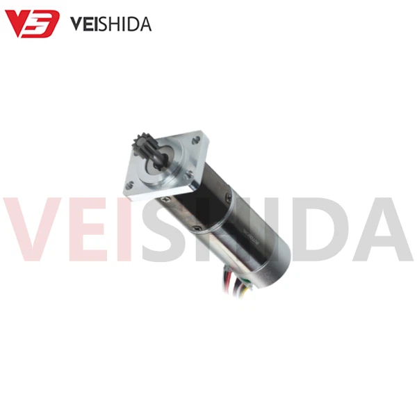 VSD - 22PG2233 Small Gear Motor VSD - 22PG2233 Small Gear Motor