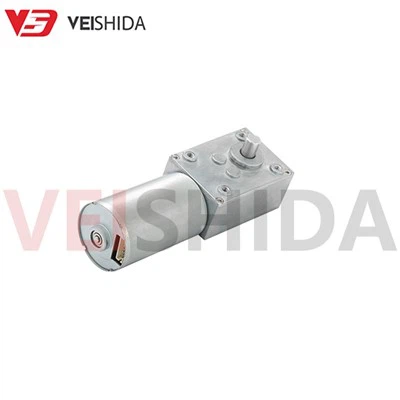 Worm Gear Motor